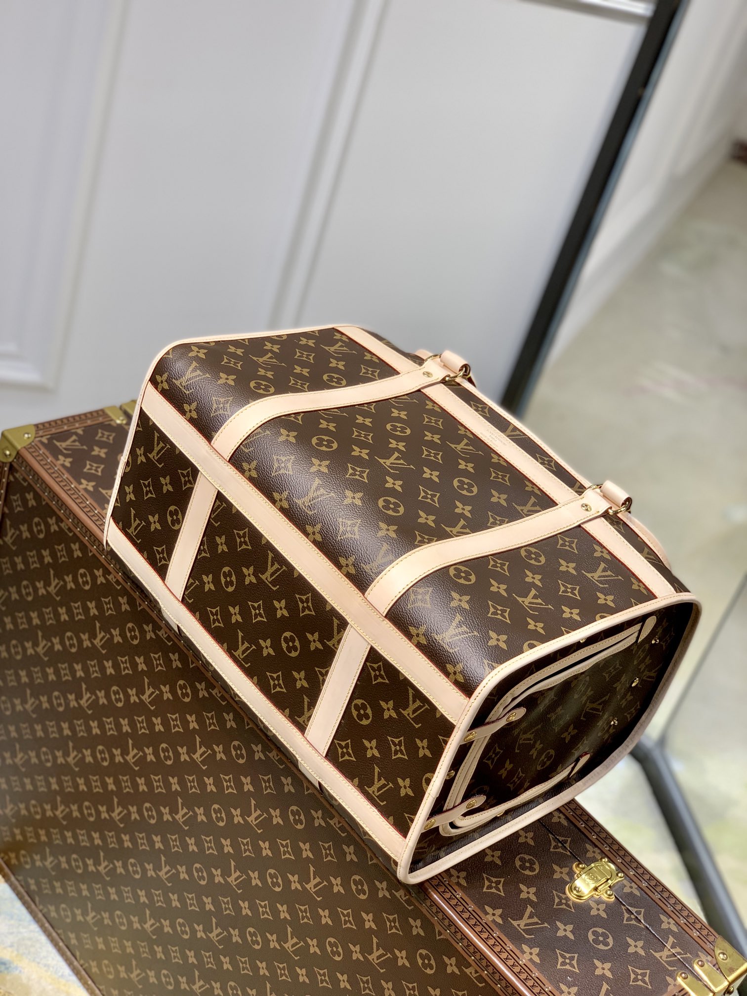 LV Travel Bags